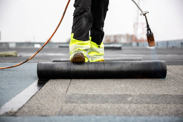 Best Roof Moss and Algae Removal  in Gillett, WI
