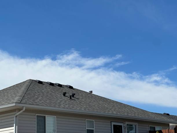 Best Roof Coating and Sealing  in Gillett, WI